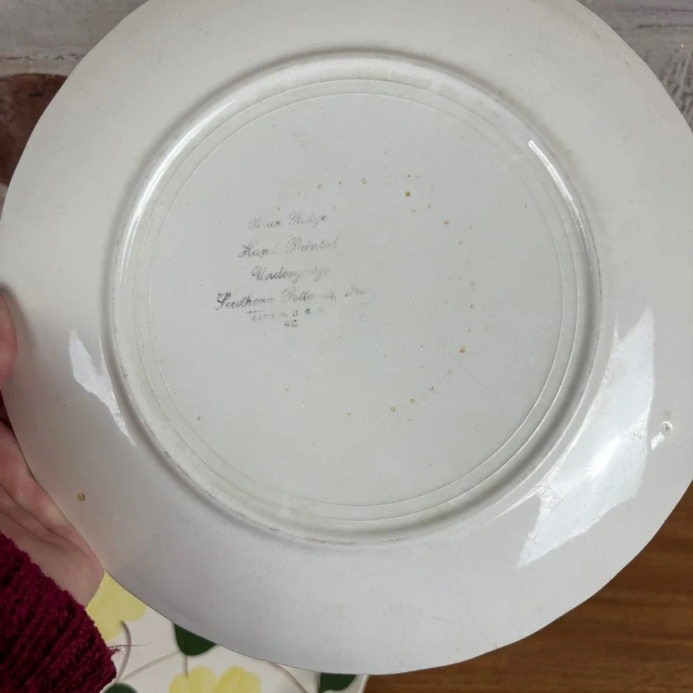 Set of 2 Vintage Blue Ridge Southern Potteries Hand Painted Yellow Floral Plates